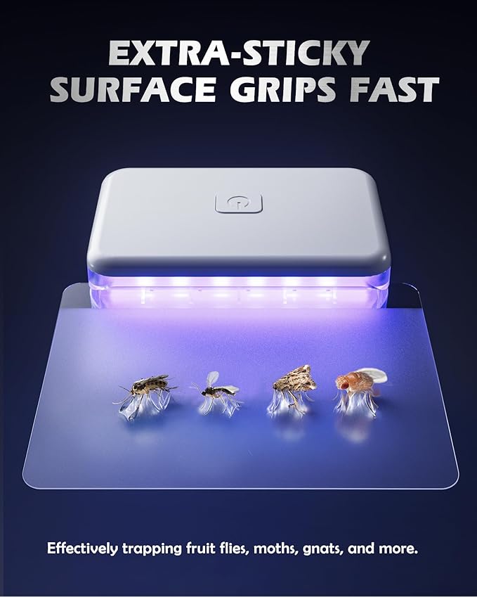 2 Pcs Fruit Fly Traps for Indoors (2 Device+10 Refills) Plug in UV Light Fly Trap for Gnats, Fruit
