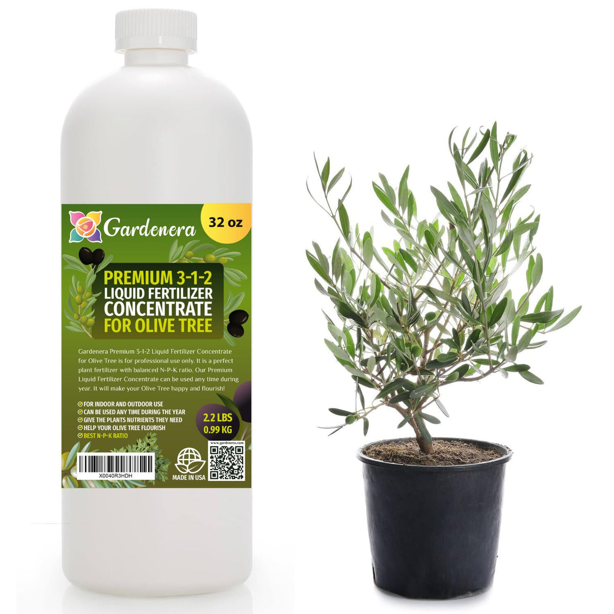 Premium Liquid Olive Tree Plant Fertilizer - 3-1-2 Concentrate for Indoor Plants and Flowers by