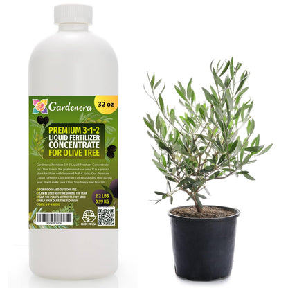 Premium Liquid Olive Tree Plant Fertilizer - 3-1-2 Concentrate for Indoor Plants and Flowers by