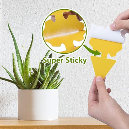 120 Pack Fungus Gnat Traps for House Indoor, Fungus Traps Fruit Fly Traps for Indoors Gnats Sticky