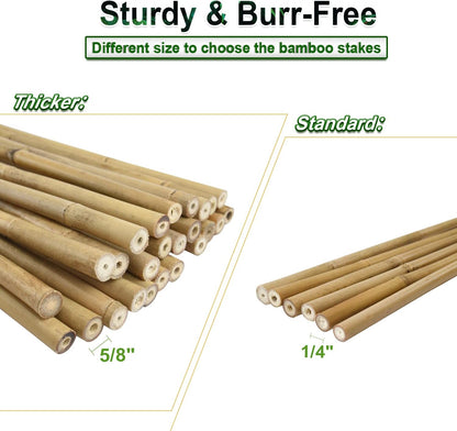 20pcs 5/8" D Thicker Heavy Duty Bamboo Stakes, 6FT Plant Stakes, Natural Garden Stakes for Tomato