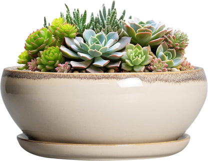 SQOWL Succulent Pots 8 Inch - Ceramic Bonsai Pots for Indoor Plants, Round Shallow Plant Pot with