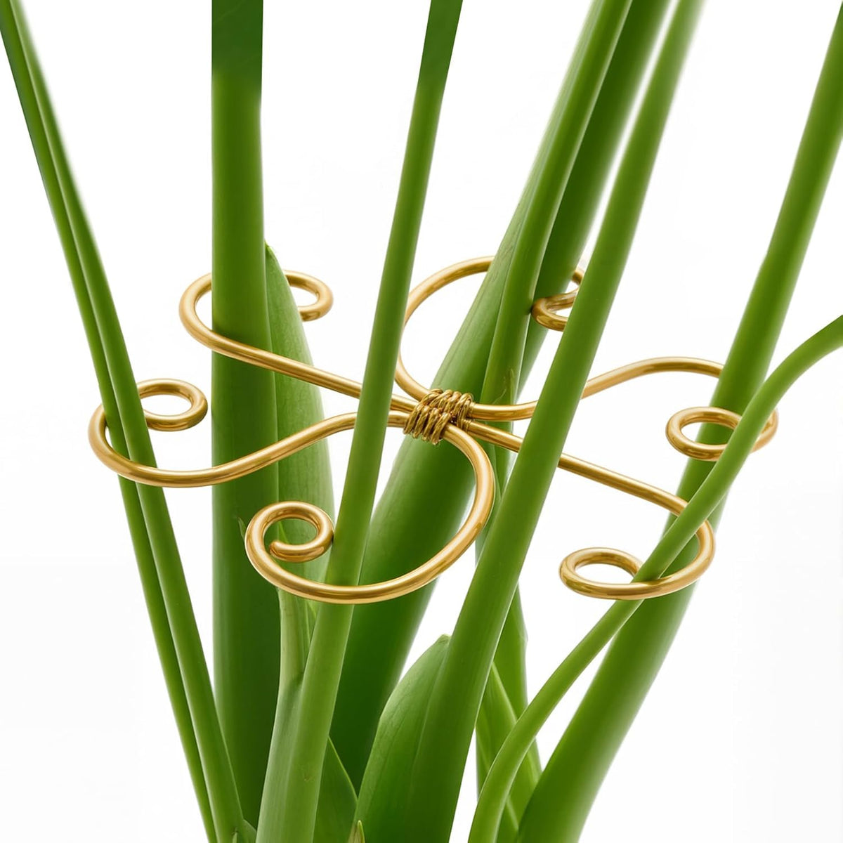4PCS Iron Monstera Support, Uniquely Designed Plant Support Stakes for Indoor Plants, Stable Plant