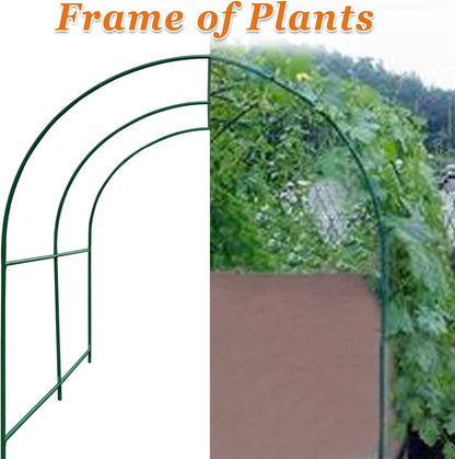 Strong Camel Greenhouse Replacement Frame for Larger Hot Garden House , Support Arch Frame Climbing