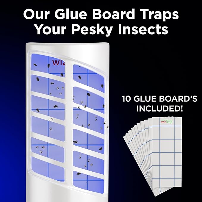 2-Pack Large Indoor Plug in Fly Trap, 21 UV LED Bulbs, 10 Sticky Glue Board Refills, A Home Gnat