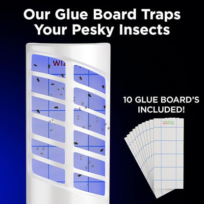 2-Pack Large Indoor Plug in Fly Trap, 21 UV LED Bulbs, 10 Sticky Glue Board Refills, A Home Gnat