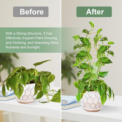 17.5 Inch Indoor Plant Trellis for Climbing Plants,Metal Trellis,Small Garden Trellis for Potted