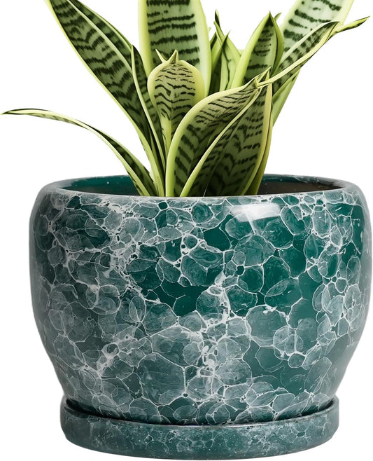 SQOWL Ceramic Pot for Plants - 6 Inch Ceramic Planter with Drainage Hole and Saucer, Round Flower