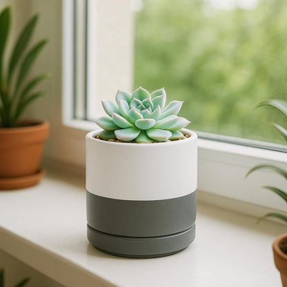 D'vine Dev Set of 4 Small Ceramic Plant Pots, 3.5 Inch Succulent Planter Pot for Plants with