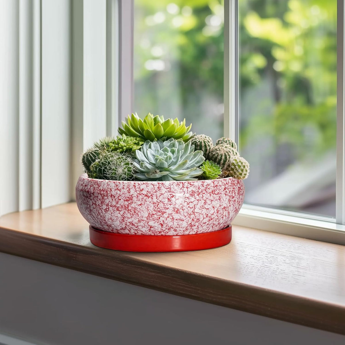 Bonsai Pots 10 Inch - Ceramic Succulent Planters for Indoor Plants Outdoor, Succulent Pots with