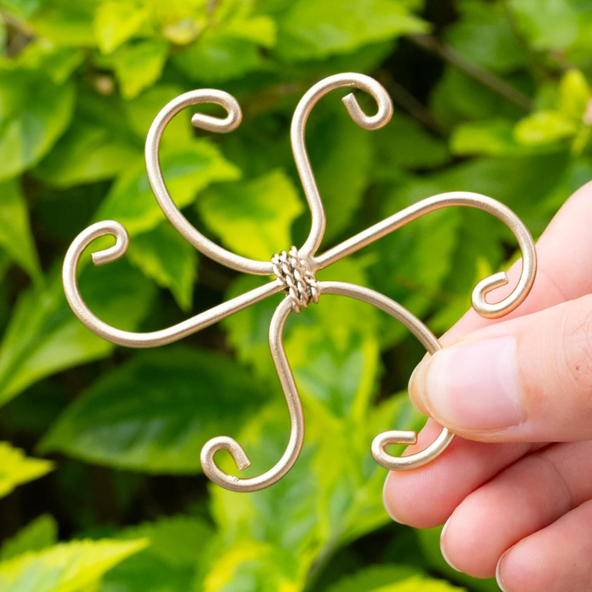 5Pcs Monstera Plant Stem Support Hook (2.75x2.75 inches) - Durable Metal Stem Support for Monstera
