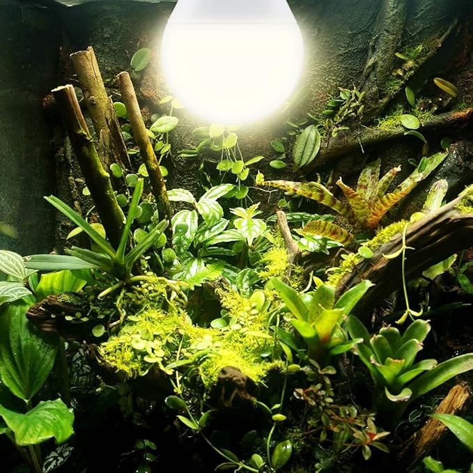 Grow Light Bulbs for Indoor Plants, Full Spectrum Grow Light Bulb, 11W LED Growing Plant Light Bulb