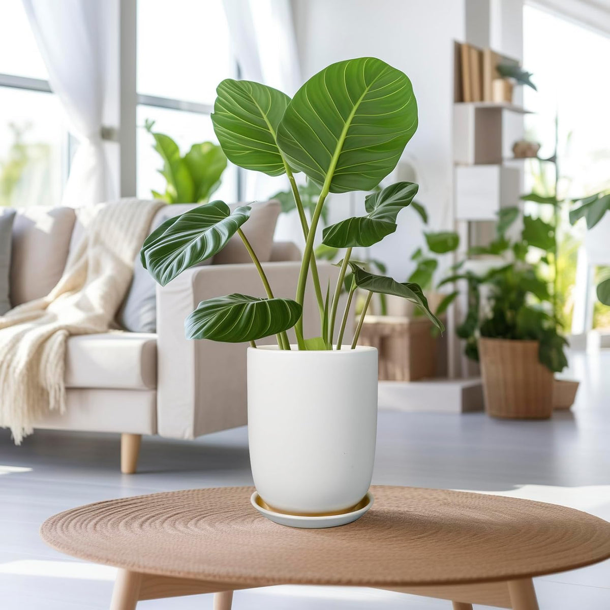 Plant Pot 8 Inch - Ceramic Planter for Indoor Plants Outdoor, Large Plant Pot with Drainage Hole