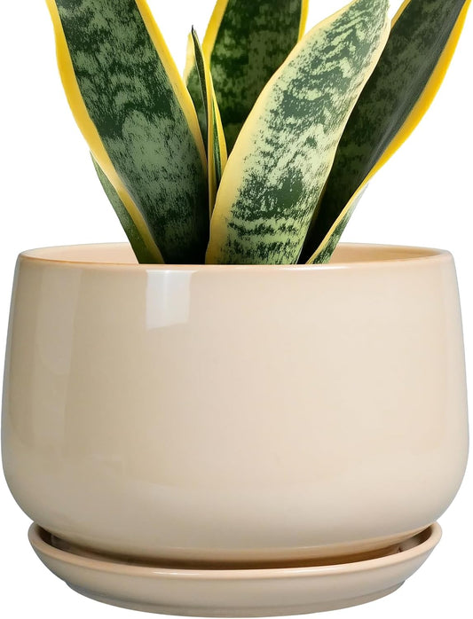 G EPGardening Ceramic Planter - 7 Inch Plant Pots with Drainage and Ceramic Tray, Flower Pots for