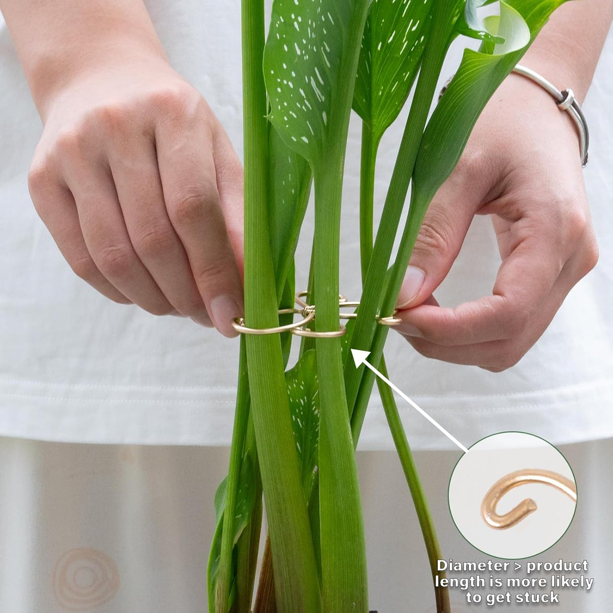 5Pcs Monstera Plant Stem Support Hook (2.75x2.75 inches) - Durable Metal Stem Support for Monstera