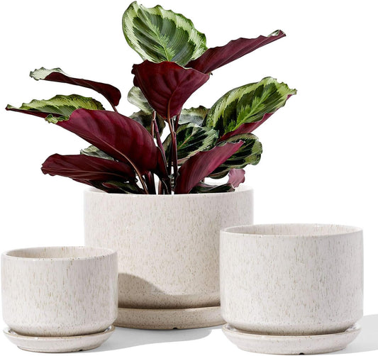 LE TAUCI Ceramic Plant Pots, 4.3+5.3+6.8 inch, Set of 3, Planters with Drainage Hole and Saucer