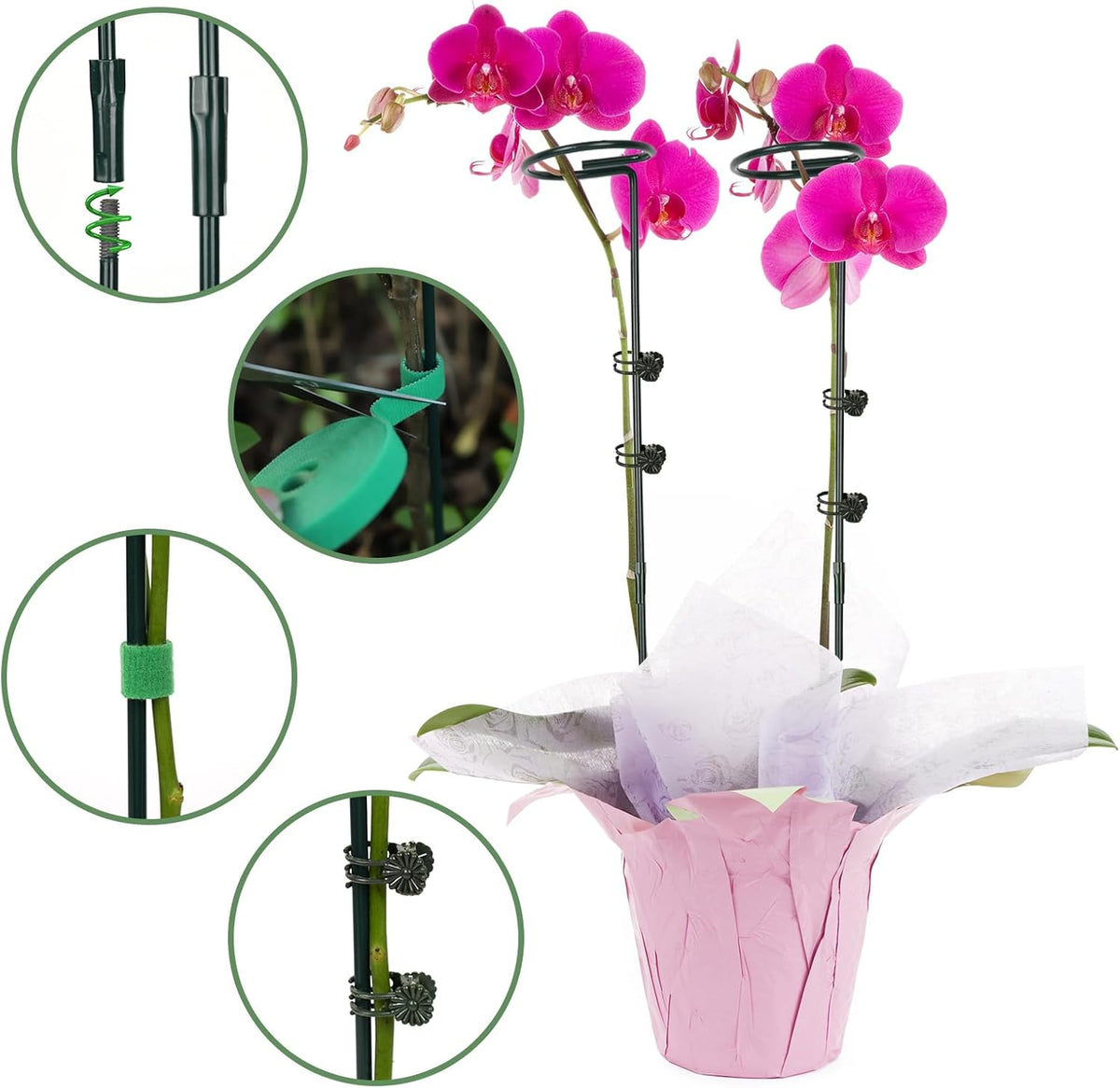 6 Packs Plant Support Sticks for Indoor Plants, Two Sizes (12 or 24 Inches) Orchid Stick and Clip