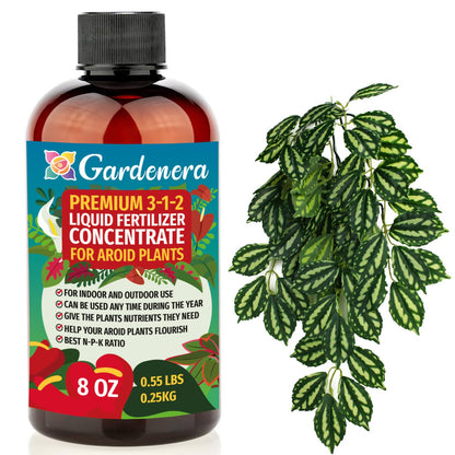 Premium Liquid AROID Plant Fertilizer - 3-1-2 Concentrate for Indoor Plants and Flowers by