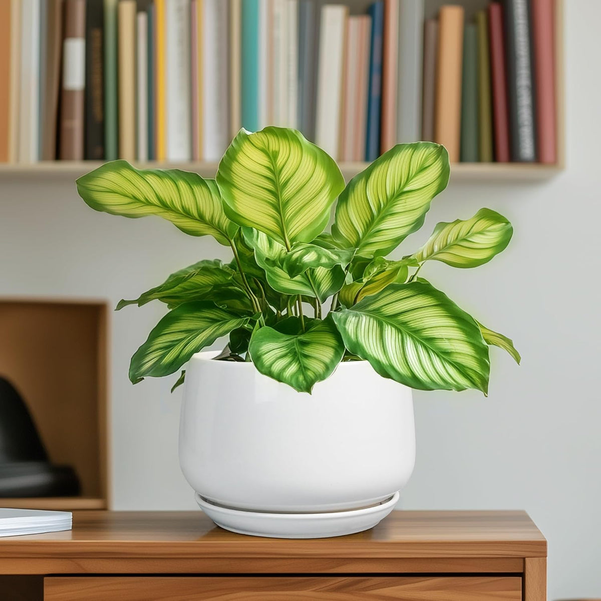 G EPGardening Ceramic Pots for Plants - 6 Inch Planter for Indoor Plants, Flower Pots with Drainage