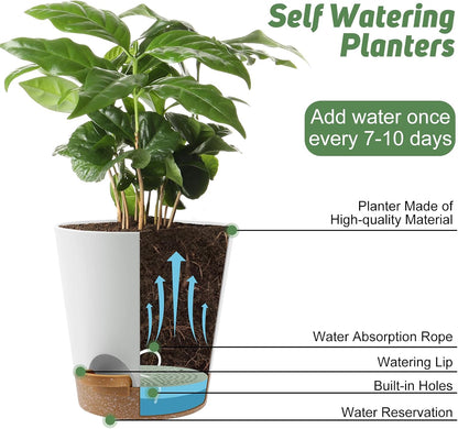 8-Inch Plant Pots, Self-Watering Planters with Drainage Holes & Saucers for Indoor and Outdoor