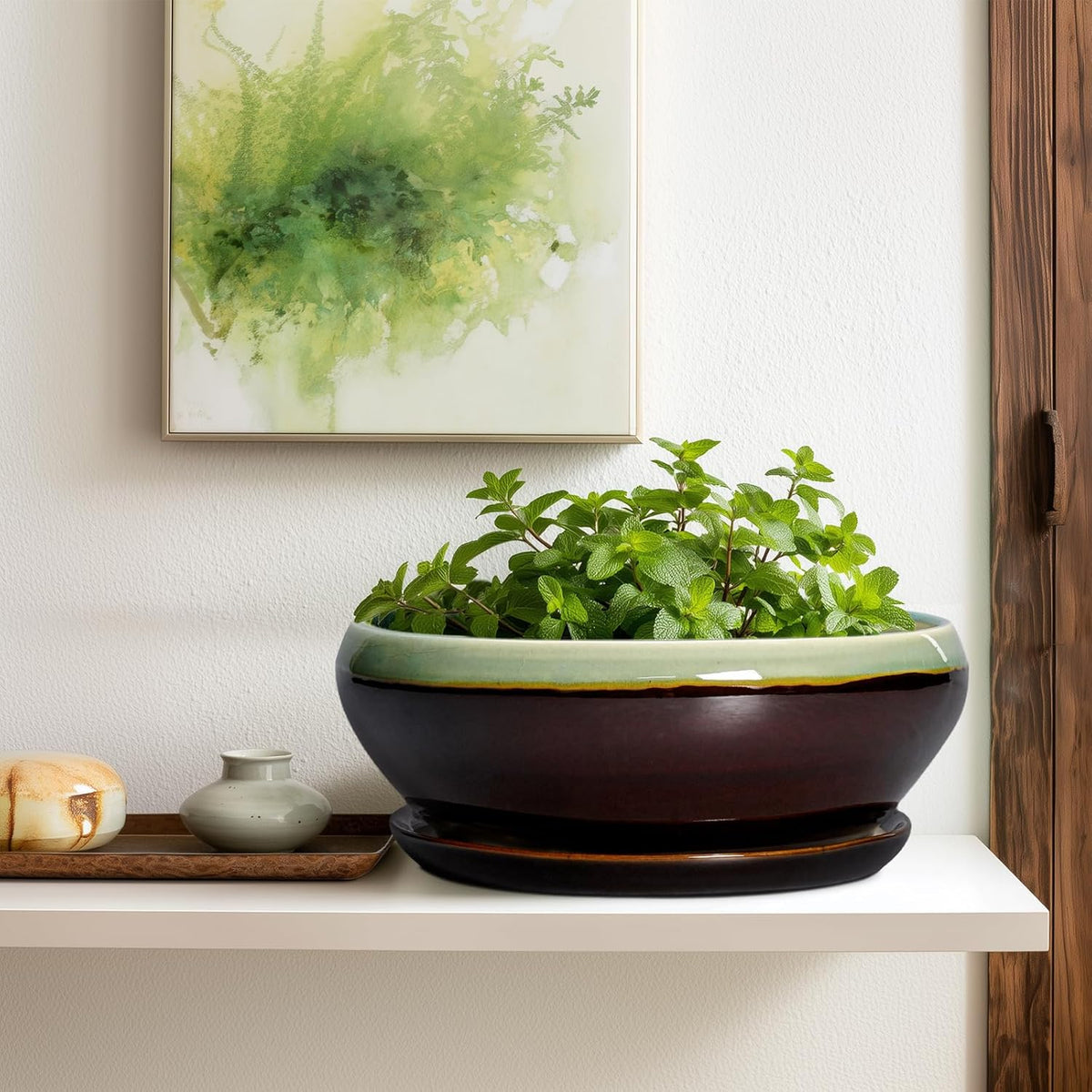 SQOWL Bonsai Pots 12 Inch - Large Ceramic Pots for Succulents with Drainage Hole and Saucer