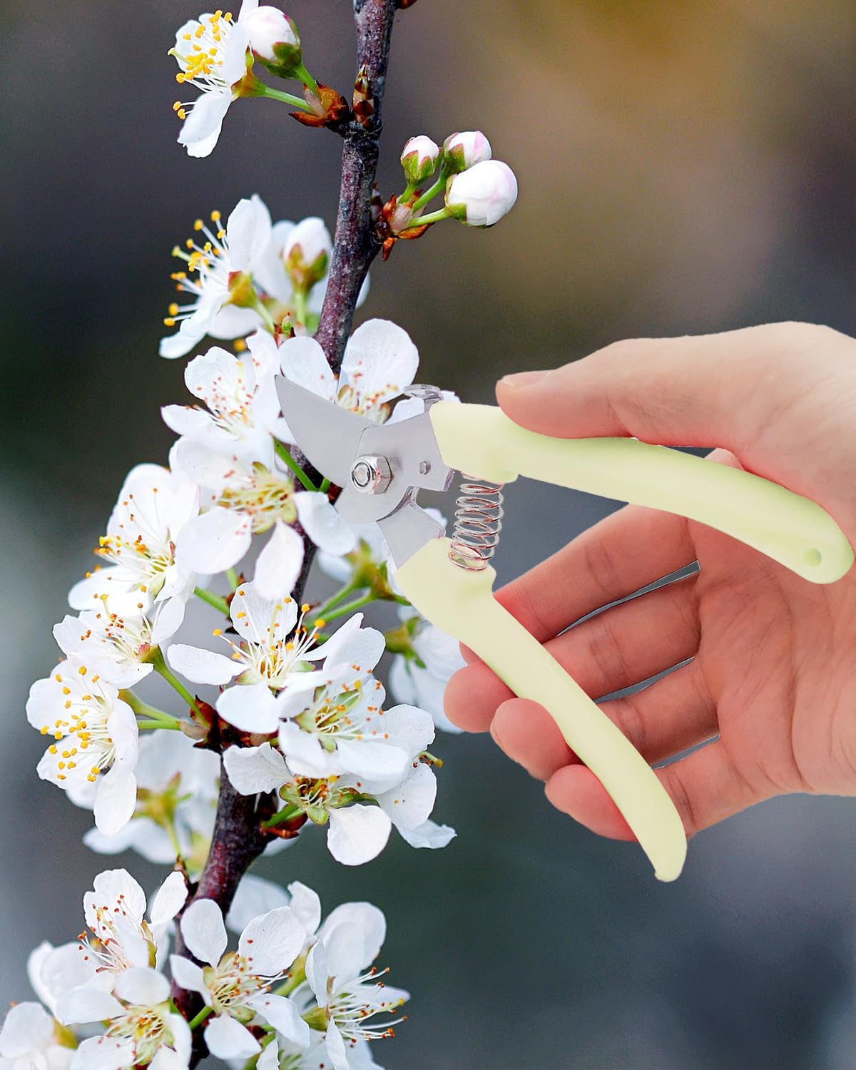 Pruning Shears for Gardening, 2 Pack Garden Scissors for Cutting Fresh Flowers, Floral Clippers for