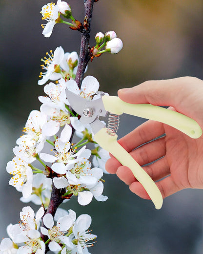 Pruning Shears for Gardening, 2 Pack Garden Scissors for Cutting Fresh Flowers, Floral Clippers for