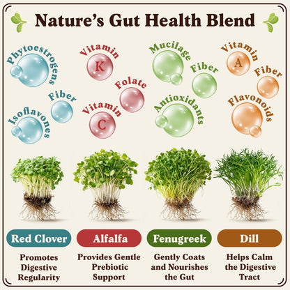 Seedboy Organic Non-GMO Sprouting Seeds, Gut Health Blend – USA Grown Microgreens Mix with Clover