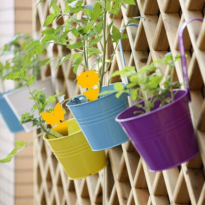 48PCS Fruit Fly Sticky Traps, Fungus Gnat Traps Insect Trap for Plants Kitchen Indoor and