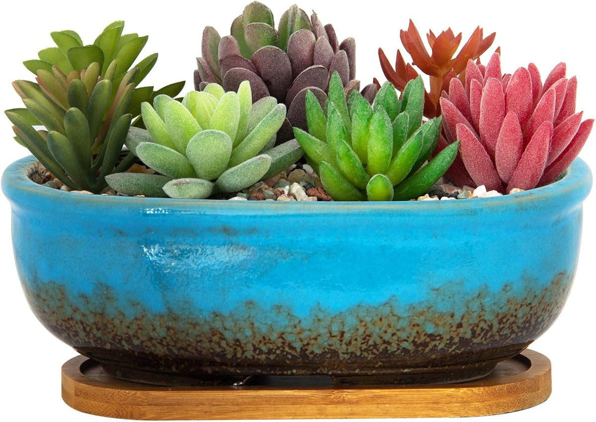 Succulent Pots, 7.9 Inch Long Rectangular Succulent Planters with Drainage Tray, Shallow Planters