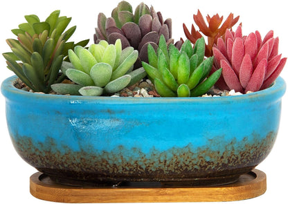 Succulent Pots, 7.9 Inch Long Rectangular Succulent Planters with Drainage Tray, Shallow Planters