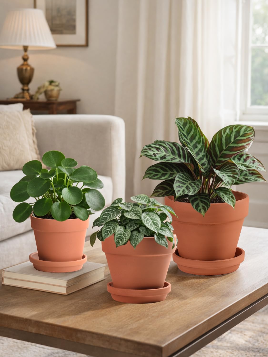 INGOFIN Terracotta Pots Set with Saucer - 5/6/7 inch Ceramic Clay Planters with Drainage Hole