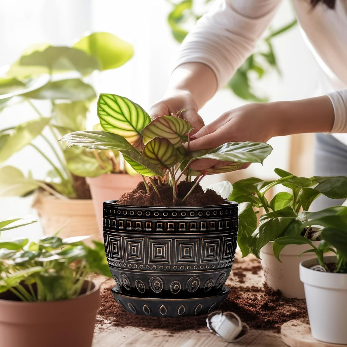 G EPGardening Ceramic Plant Pot - 5.5 Inch Ceramic Planter for Indoor Plants, Boho Round Indoor