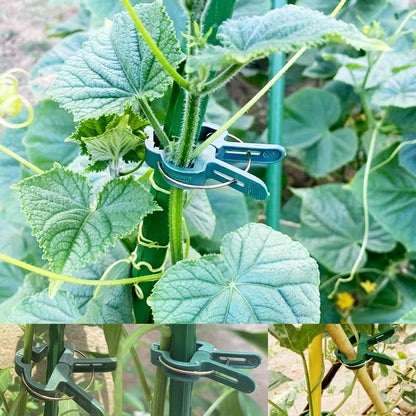 GXXMEI 80PCS Plant Clips 2 Sizes Adjusting Reusable Garden Plant Supports Clips for Supporting