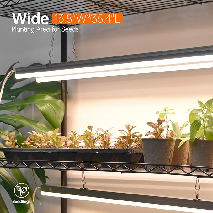 Bstrip Plant Shelf with Grow Light with Timer, Tall Plant Stand with Adjustable Rack and Wheels, 6