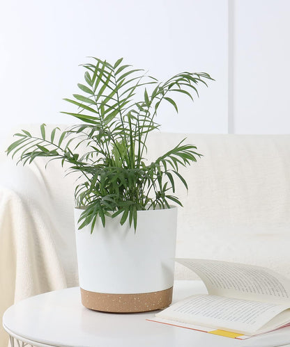 kubvici Indoor Plant Pots Planters 8 inch Plastic Planter with Hole & Saucer Flower Pots Modern