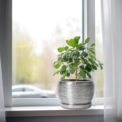 SQOWL Ceramic Pot for Plants - 8 Inch Planter with Drainage Hole and Saucer, Round Planter Indoor