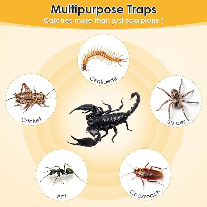 Qualirey 12 Scorpion Glue Tray Traps, Adhesive Scorpion Killer Indoor, Pet and Children Safe