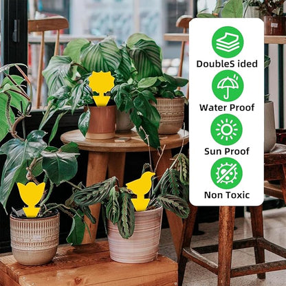72 Pcs Classic Sticky Traps for Fungus Gnat (Plants), Flying Insect, Whitefly and Fly, Yellow