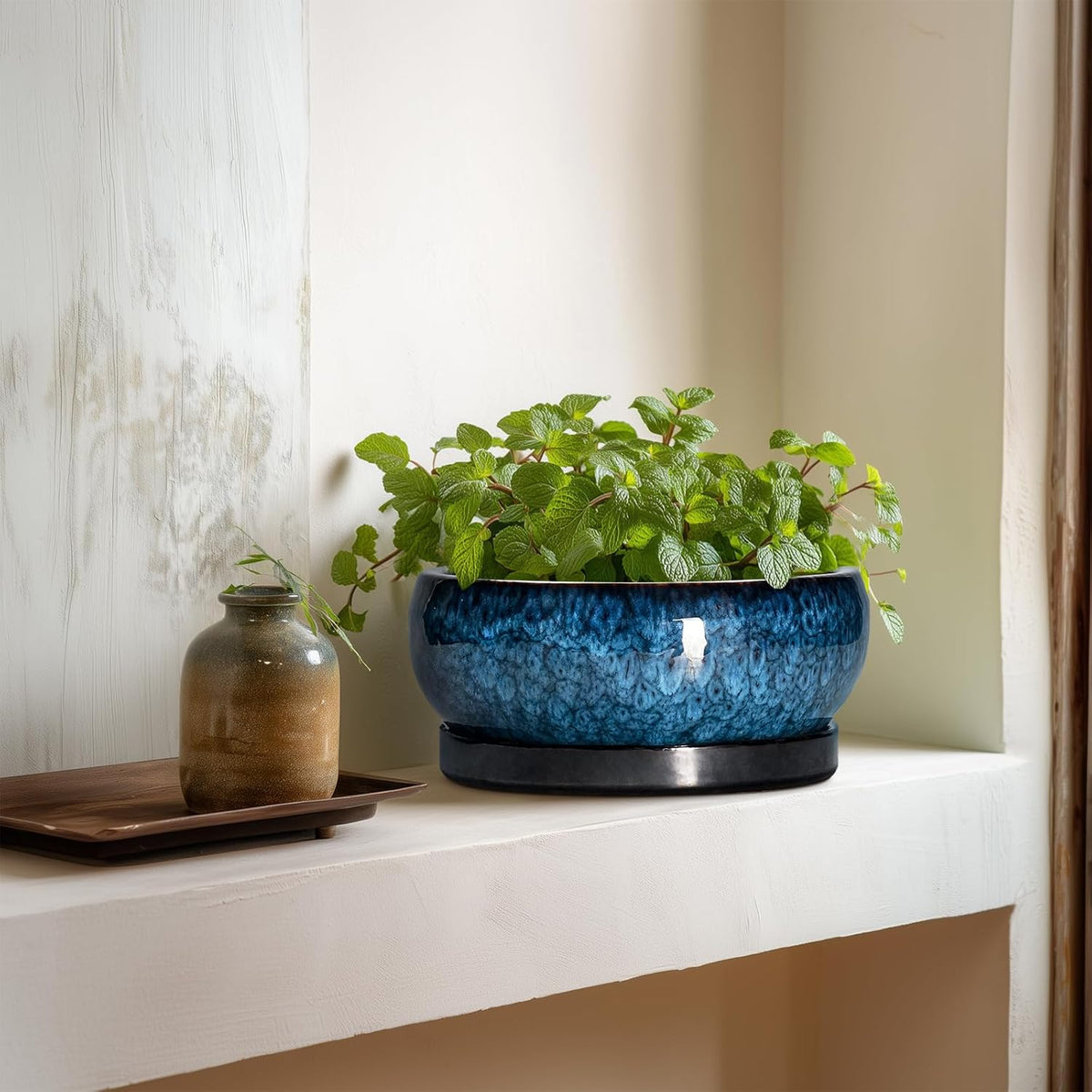Bonsai Pots 8 Inch - Ceramic Succulent Planter for Indoor Outdoor, Round Bonsai Planter with