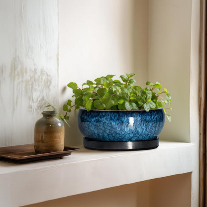 Bonsai Pots 8 Inch - Ceramic Succulent Planter for Indoor Outdoor, Round Bonsai Planter with