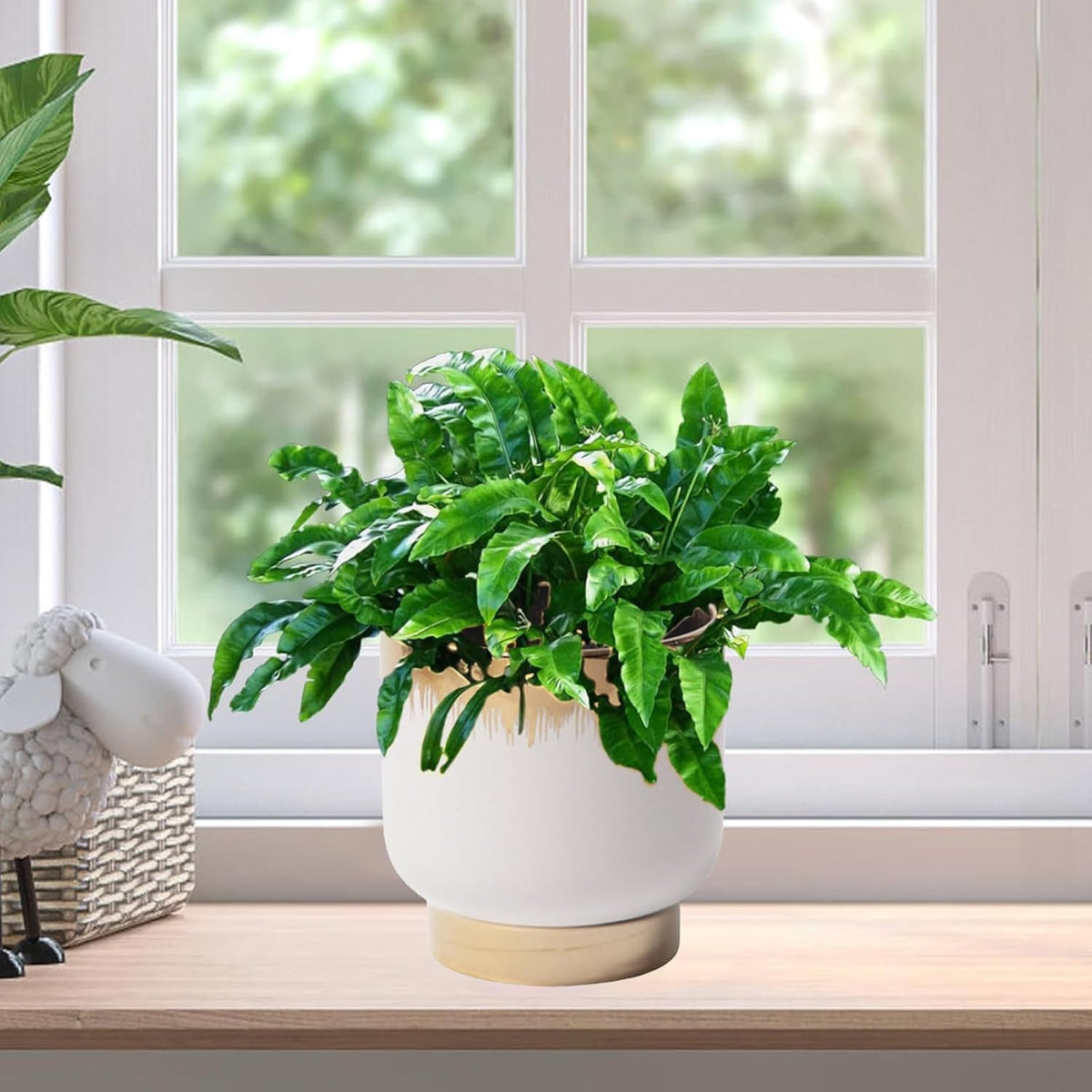LB White Gold Ceramic Plant Pot for Indoor Plants, Succulent Planters Ceramic Plant Pots, Modern