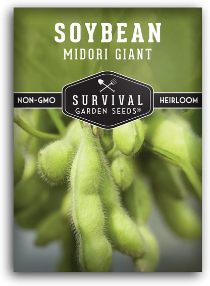 Midori Giant Soybean Seeds for Planting - Grow Protein-Rich Edamame Pods in Your Home Vegetable
