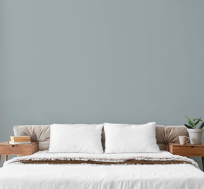 EVOLVE Paint & Primer: Environment-friendly, Low Sheen with One-coat Coverage for Interior &