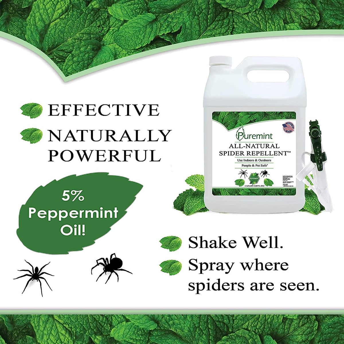 Puremint Spider Repellent, Natural 5% Peppermint Oil Spray, Kills & Deters All Types of Spiders and