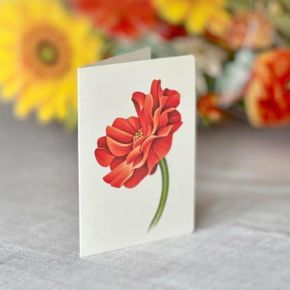 Freshcut Paper Pop Up Cards, Pumpkin Harvest, 12 Inch Life Sized Forever Flower Bouquet 3D Popup