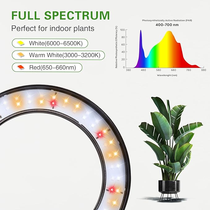 Full Spectrum Grow Light with Stand for Indoor Plants, Floor Plant Light, 3/9/12H Timer, 3 Color