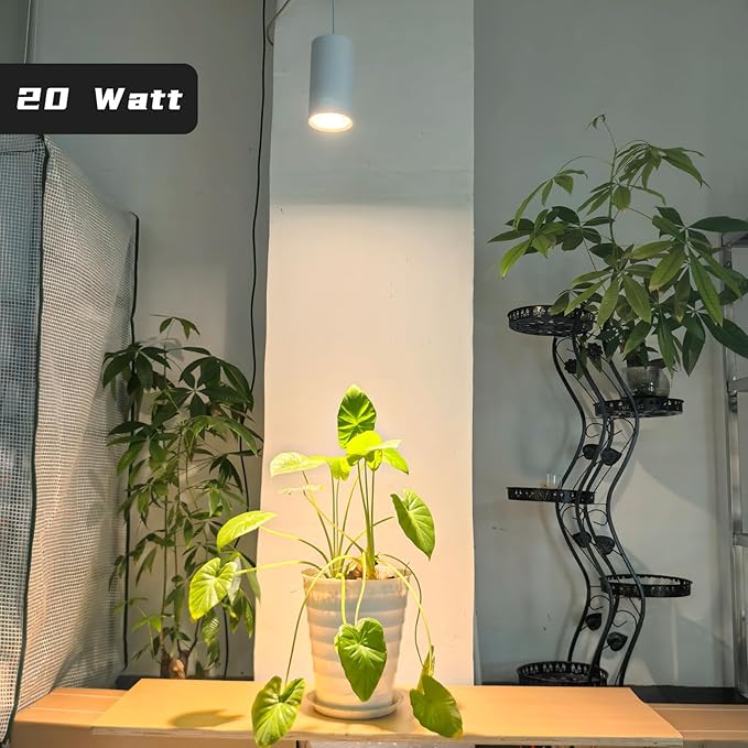 Hanging Plant Grow Light Full Spectrum Warm White Color with Timer Ceiling Decorative Grow Lamp for