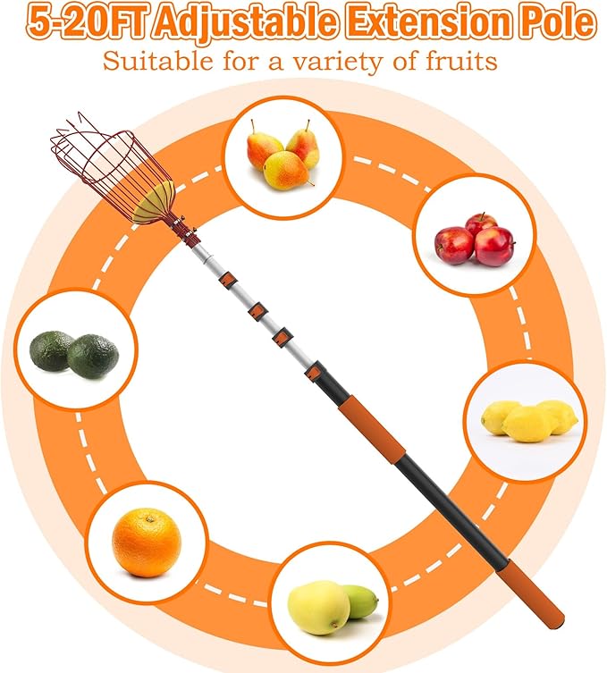 SISIUPASSIE 26FT Reach Fruit Picker, Apple Picker Pole with Basket Telescoping Tool for Apple Lemon