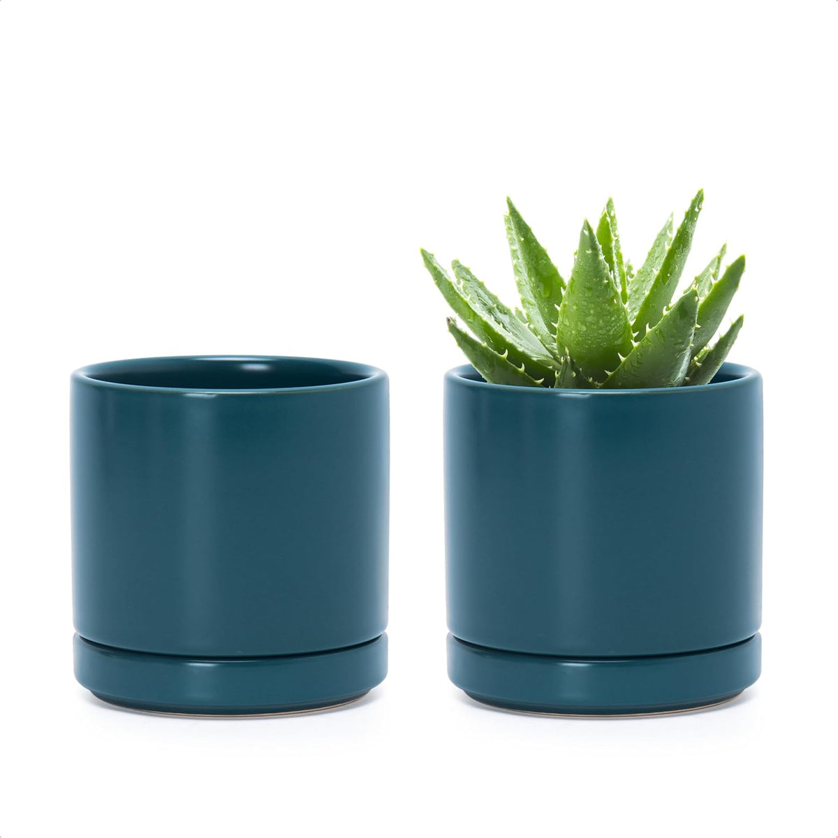 D'vine Dev Set of 2 Plants Pots, 3.5 Inch Ceramic Planter Pot for Plants with Drainage Hole and